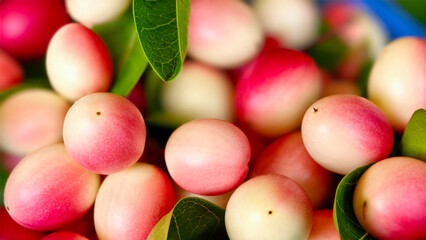 vibrant close-up cluster of Carissa carandas fruits commonly known as Karonda or Bengal currants...