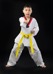 A young Asian man wearing a white taekwondo uniform with a yellow belt stands with one fist in taekwondo,
