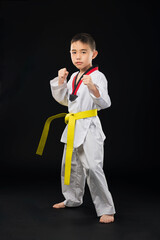Single Asian male taekwondo athlete standing guard, ready to fight on a black background