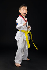Child taekwondo athlete standing with hand guard, knife ready to fight o