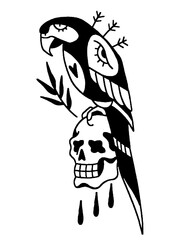 Parrot on a skull in classic tattoo style art