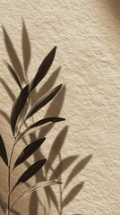 Minimalist Leaf Shadows on Beige Background with Grainy Vintage Texture
