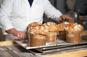 Baker showing a tray with traditional Panettone. High quality photo