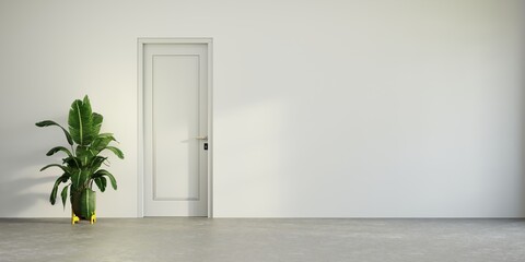White door in a white wall and green plants, minimalist