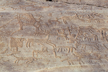 Valcamonica, Italy - 11 January 2025: View of ancient rock carvings depicting various animals, their forms etched in the stone with a stark, enduring beauty.