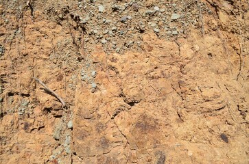 모래와 자갈이 섞인 마른 흙 질감