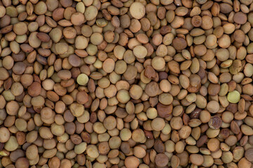 lentil background