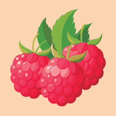 Vector illustration of a Fresh raspberries with leaves.