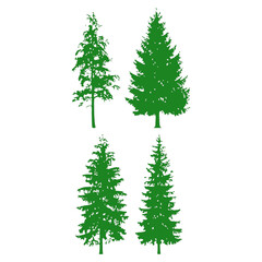 spruce tree logo set of christmas tree design