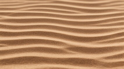 Waved desert sand, desert sand texture