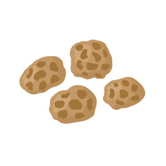 Tiger nuts isolated on white background. Chufa nuts healthy super food clipart in cartoon style. Vector illustration