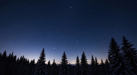 Starry night sky over a dark forest silhouette