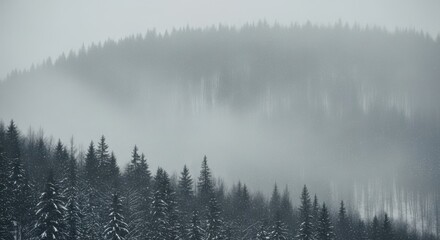 Snow falling gently over a dense, misty winter forest on a hill