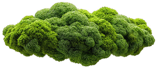 Lush green moss cluster resembling a cloud