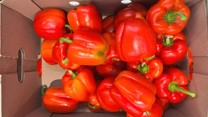 Bright, ripe red bell peppers inside a cardboard box.