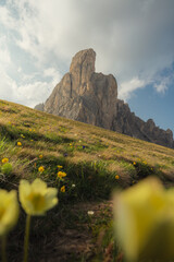 mountain landscape with yellow flowers and clouds