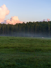 Drone photo of a Florida farm meadow at sunrise with mist rising across green pastures and dramatic...