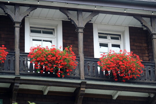 Balcone fiorito con cascata di gerani rossi: un tocco di colore vivace e tradizione su ringhiera in legno intagliato
