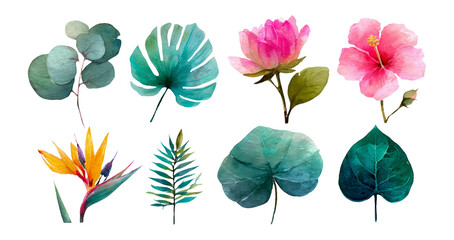 Fototapeta premium Vibrant Watercolor Flower and Leaf Collection with Isolated Transparent Background