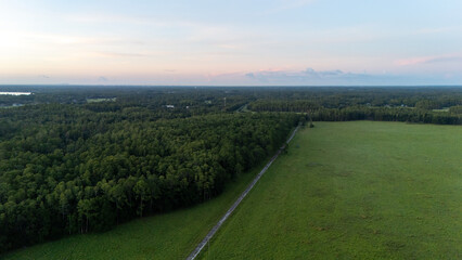 Aerial drone view of Florida farmland with a dense forest edge dividing open pastures and horizon at sunset, highlighting the balance of agriculture, rural charm, and natural landscapes.