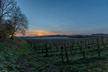 Fototapeta premium tramonto su un ambiente naturale di campagna nell'Italia nord-orientale, in autunno, con cielo sereno