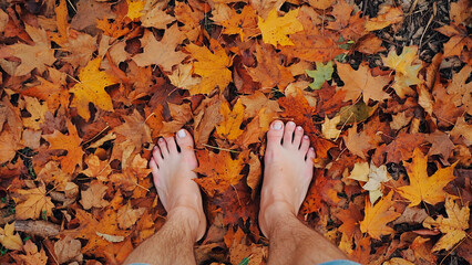Walking barefoot through the forest.