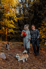 A man and a woman are leisurely walking two dogs in a beautiful park