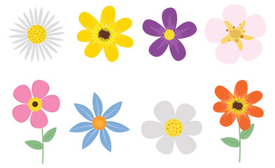 Colorful Mixed Flower Collection with Various Petal Shapes Isolated on White