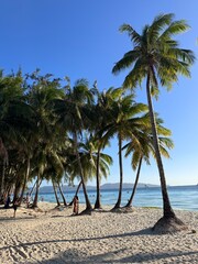 Palm trees on a beautiful, quiet tropical sandy beach on a tropical island (White Beach, Boracay)
