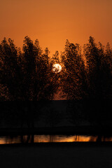 Doha, Qatar - September 07, 2025: The Sun Setting Behind Silhouetted  Trees view Irkaya farm Doha Qatar