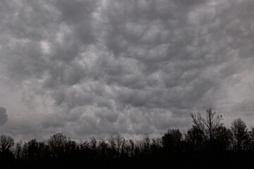 cielo grigio e nuvoloso sopra un bosco collinare scuro 