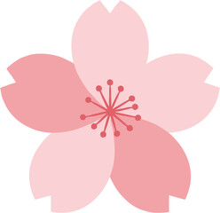 Simple Flat Style Pink Sakura Flower Icon Spring Time Graphic