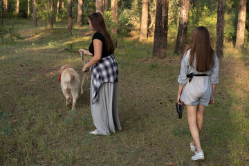 Two girls are walking with retriever dog in the pine forest.