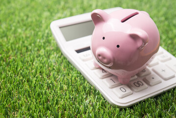 Pink piggy bank and calculator on green grass background. Personal financial, savings management, individual retirement account (IRA), save money for education, investment and other expenses concept.