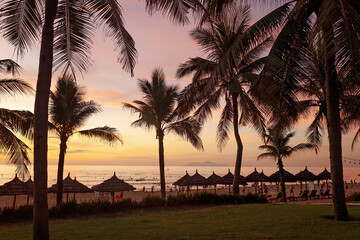 Beautiful sunrise on the beach in Da Nang, Vietnam. Coconut palms on sand beach in tropic