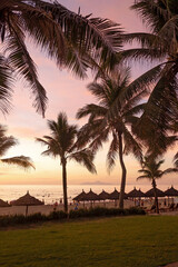 Beautiful sunrise on the beach in Da Nang, Vietnam. Coconut palms on sand beach in tropic