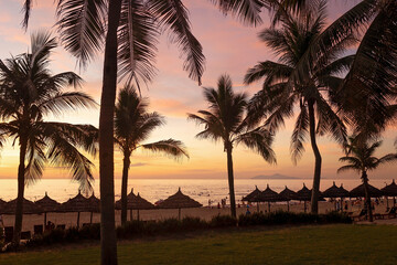 Beautiful sunrise on the beach in Da Nang, Vietnam. Coconut palms on sand beach in tropic