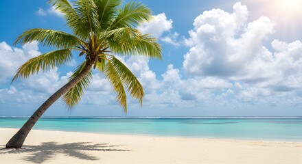 Sun-Drenched Tropical Beach Paradise with Palm Trees and Turquoise Ocean