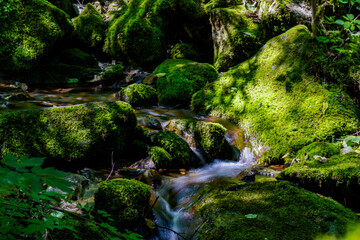 small waterfall in the forest