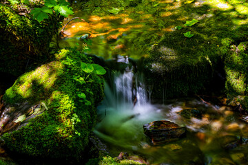 waterfall in the park