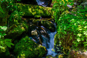 waterfall in the forest