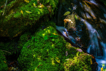 waterfall in the forest