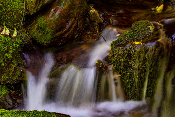 waterfall in the forest