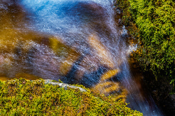 water flowing in the forest