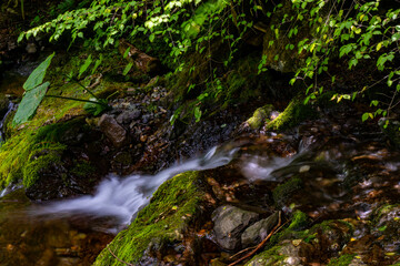 waterfall in the forest