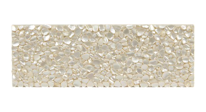 Elegant seashell mosaic pearl-textured nameplate isolated on transparent background