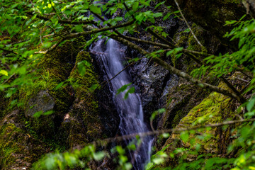 waterfall in the forest