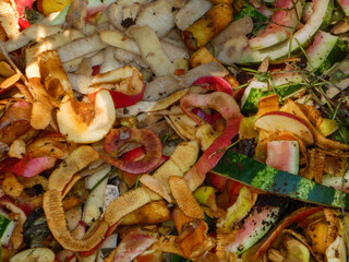 Organic Food Waste and Fruit Peels for Composting