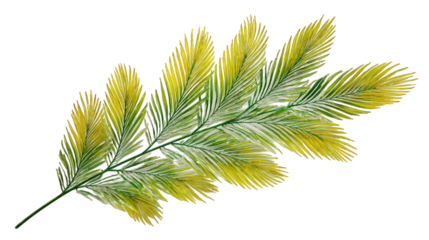 Yellow and Green Leaf with Detailed Texture on Black Background