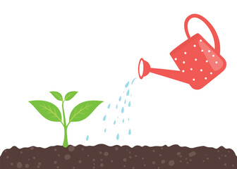 realistic young plant with watering can and water  drops eps